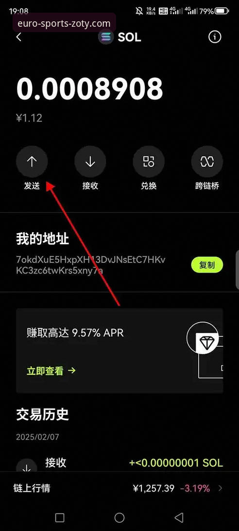 最新中欧体育下载安装 深度揭秘最新中欧体育下载安装:新手必看的完整操作指南与背后真相